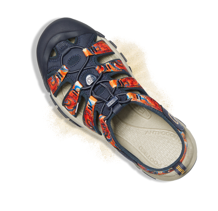Shoe picture