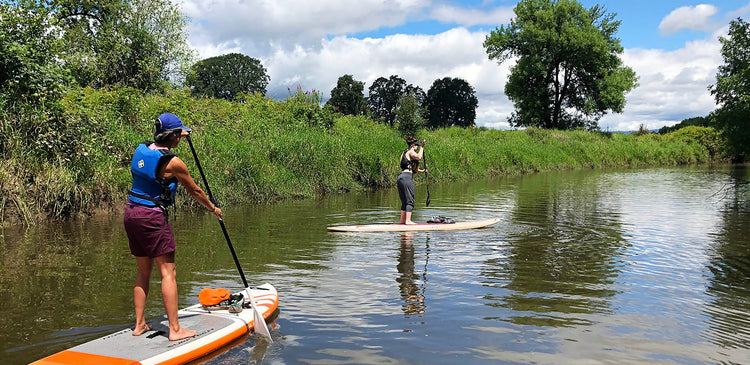 Friends going down a river on paddleboards