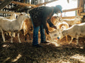 On Site with Ballew Farms: Cultivating Deep Roots