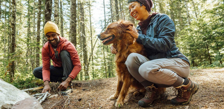 A couple camping with their dog