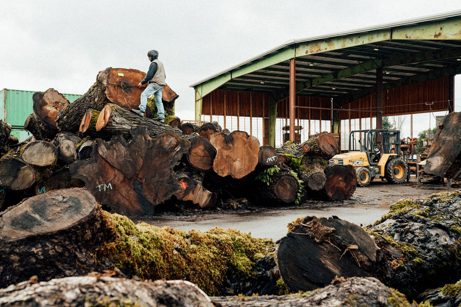 At Work with Goby Walnut: Upcycling Dying Trees into Heirloom Lumber