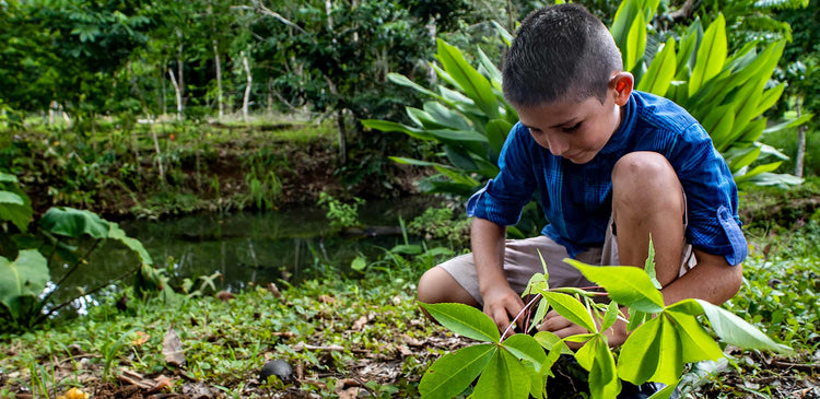 A child exploring nature in Costa Rica