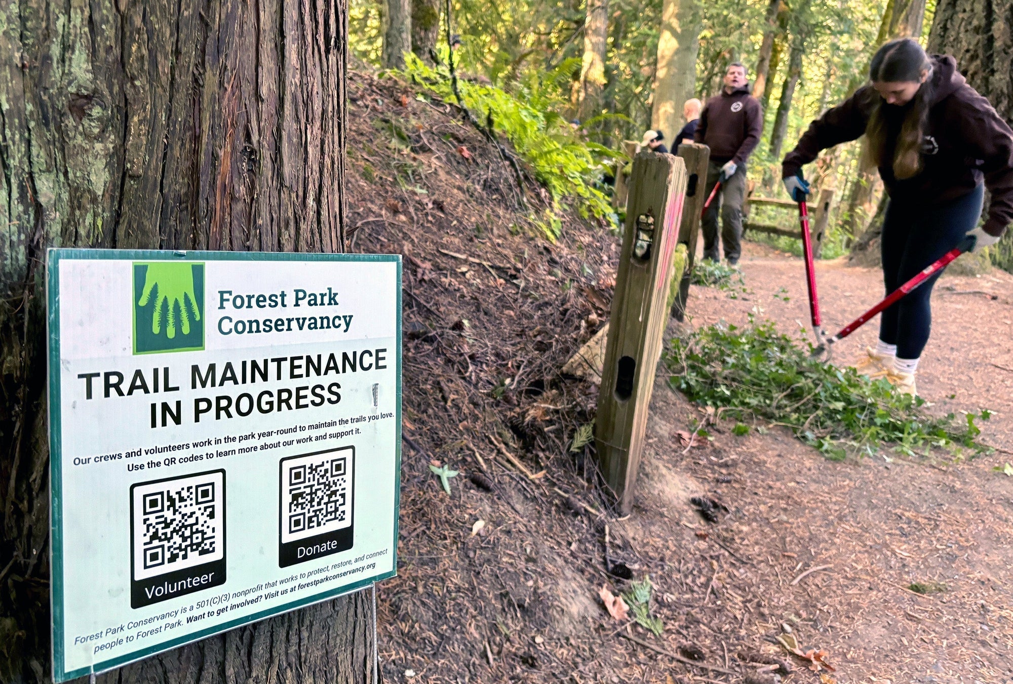 Taking Care of Our Forest Park Trails