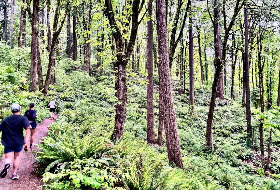 Trail Run Log: Forest Park, Portland | KEEN Footwear