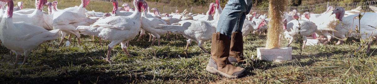 Women’s Work Boots