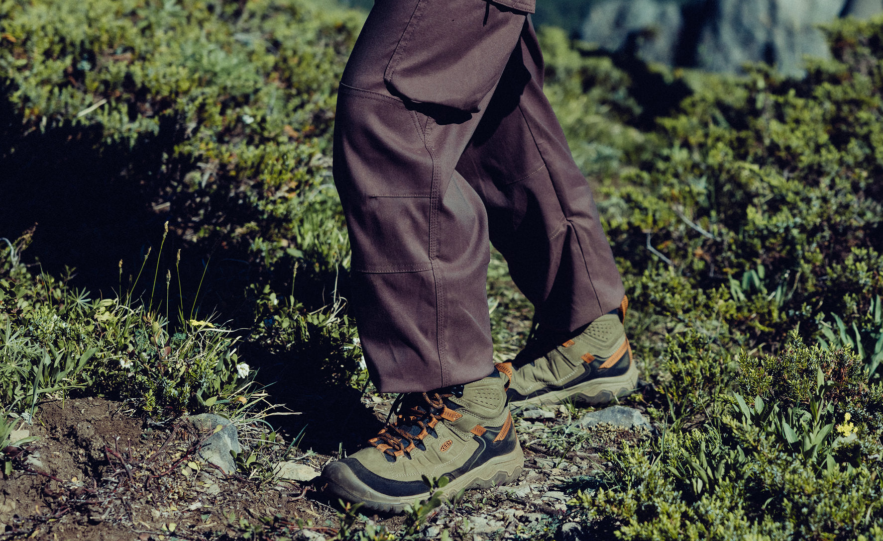 Men's Targhee IV Waterproof Hiking Boot | Sea Turtle/Roasted Pecan