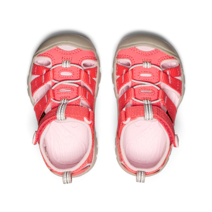 Kana　シェリースキン Toddlers' Seacamp II CNX | Dubarry/Giggle Pink | KEEN Footwear