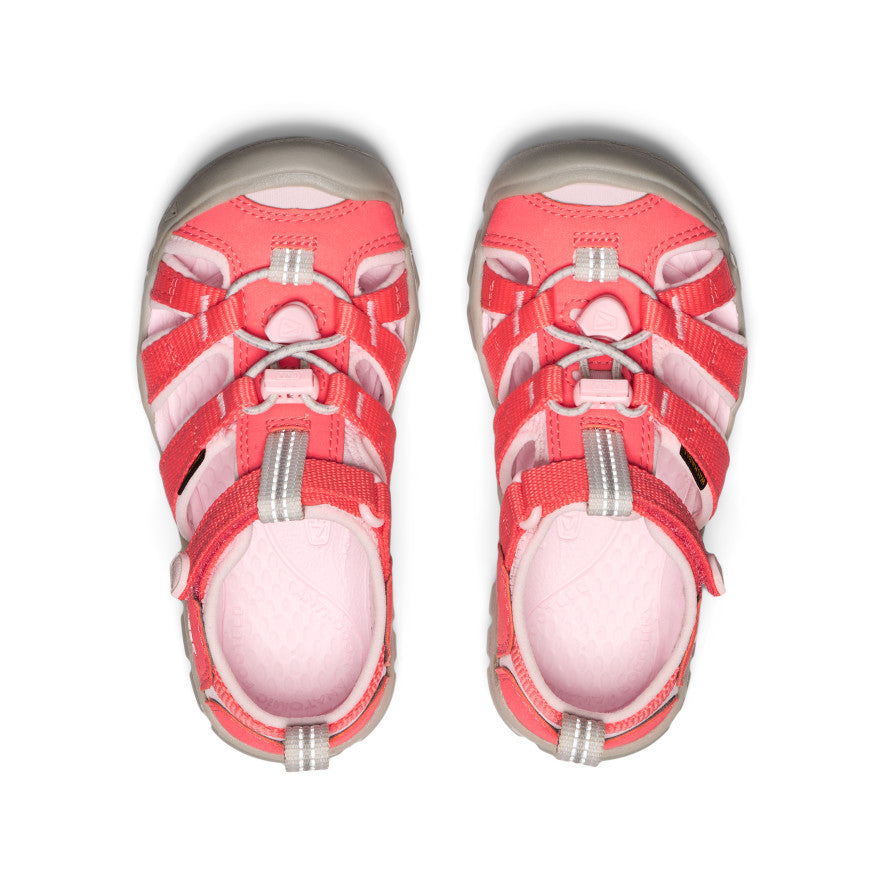Little Kids' Seacamp II CNX | Dubarry/Giggle Pink | KEEN Footwear