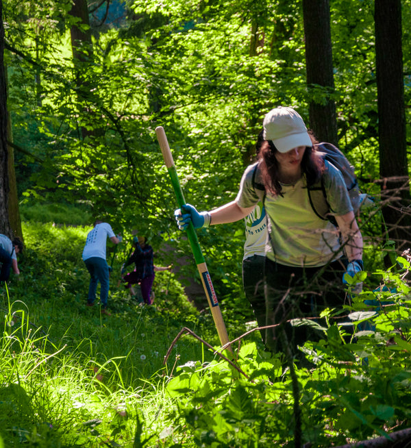 A group of people working with shovels in a forest.
