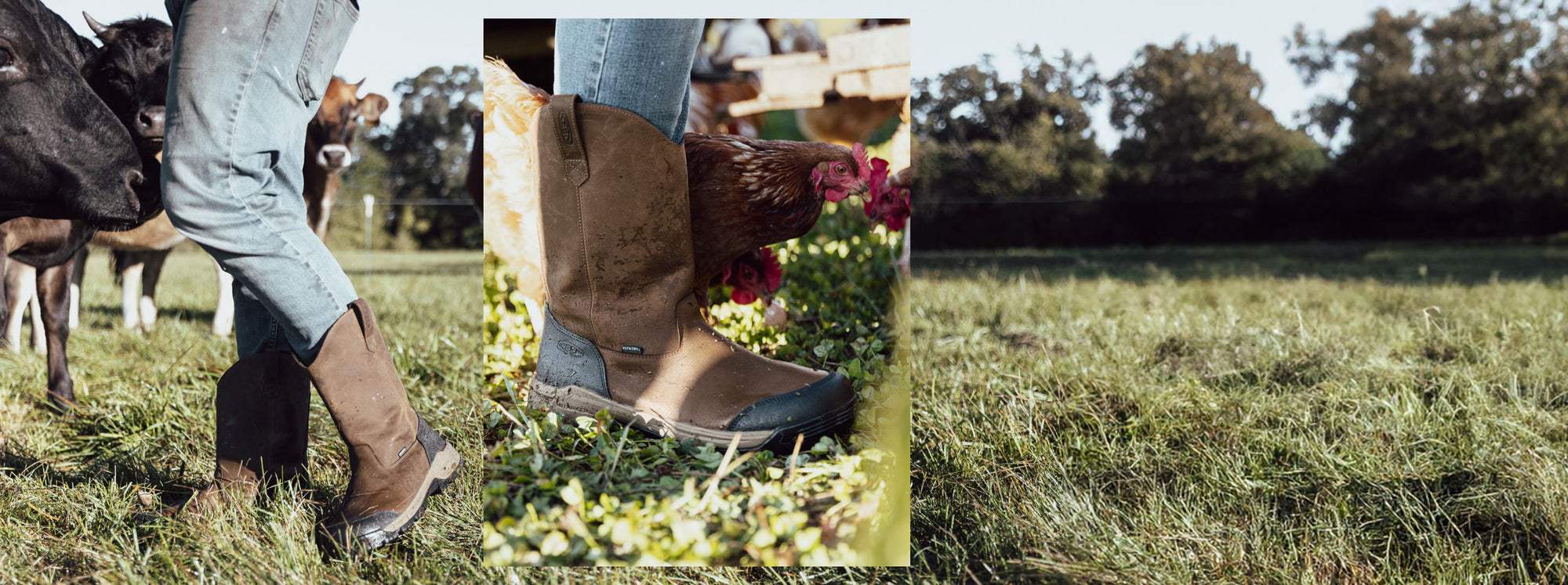 Collage of two knee-down shots of a man wearing brown leather Evanston pull-on hiking boots in front of cows and chickens. 