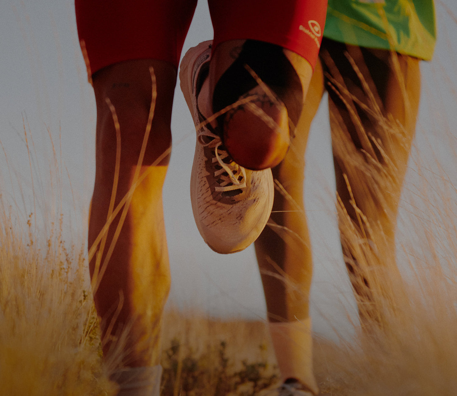 Women s Seek Trail Running Shoe Safari Black KEEN Footwear women-s-seek-trail-running-shoe-safari-black-keen-footwear