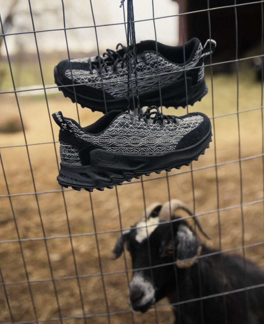 ショーン/2 36A56865-EDC3-4929-A68D-
