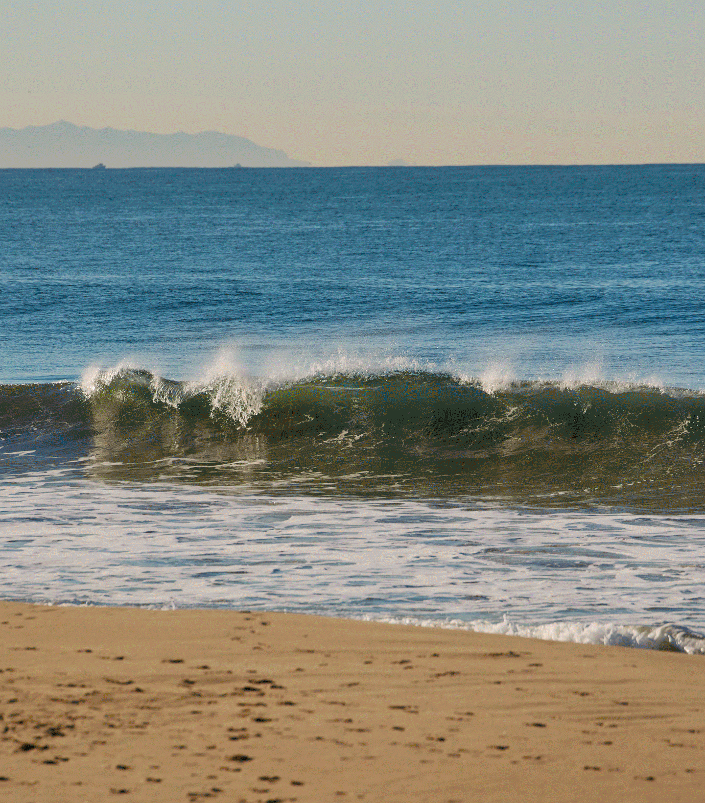 A Gif of multiple people sporting the KEEN Made collection of casual sneakers in various settings including city streets, floral neighborhood sidewalks, casual dining, and the ocean shore.