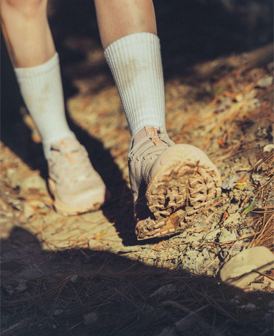 Women's Targhee Apex Waterproof Hiking Shoe | Fig/Naval Academy
