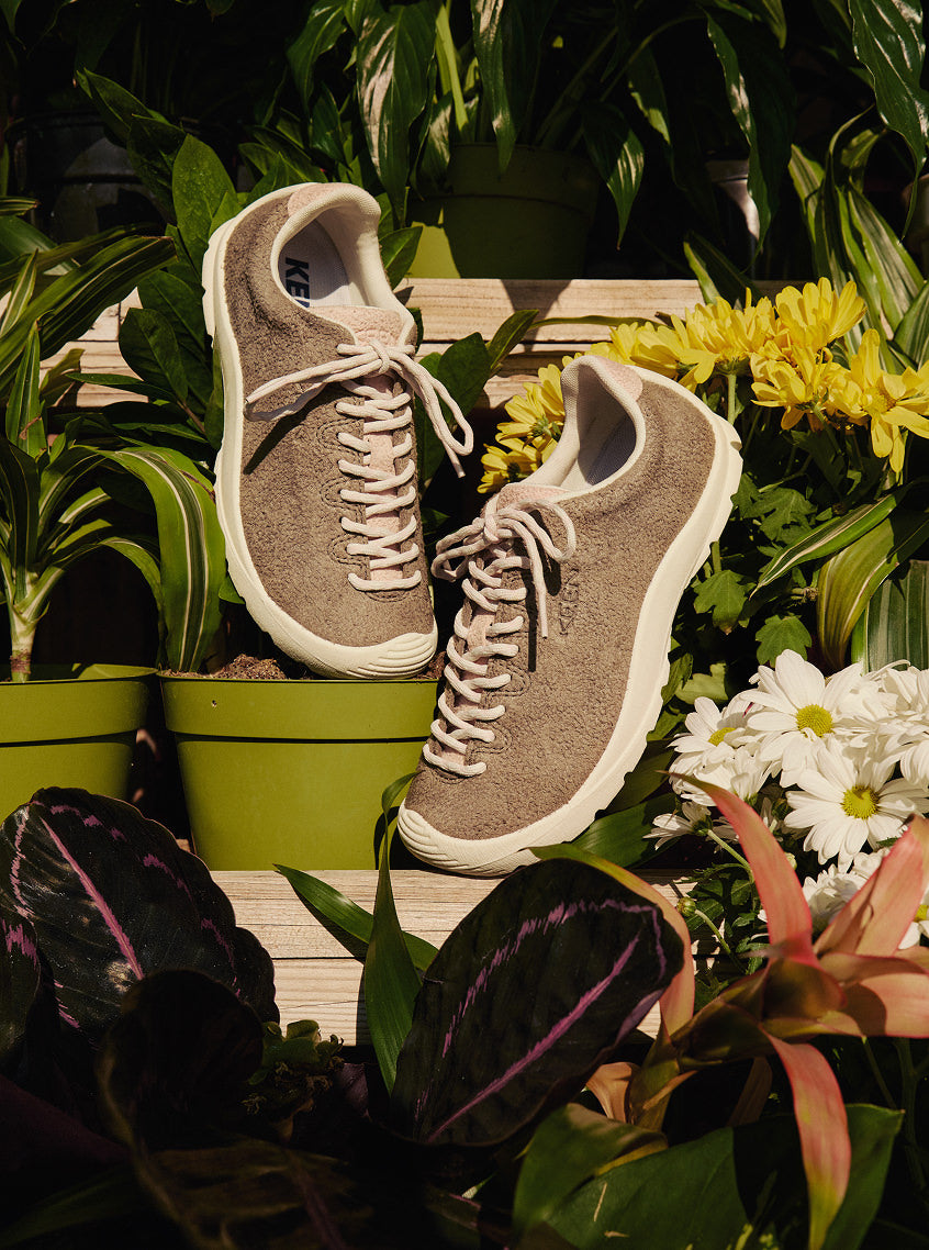 A pair of Jasper KM lite sneakers in tan leather suede with cream colored soles and laces, carefully placed on outdoor shelves with flowers and plants. 