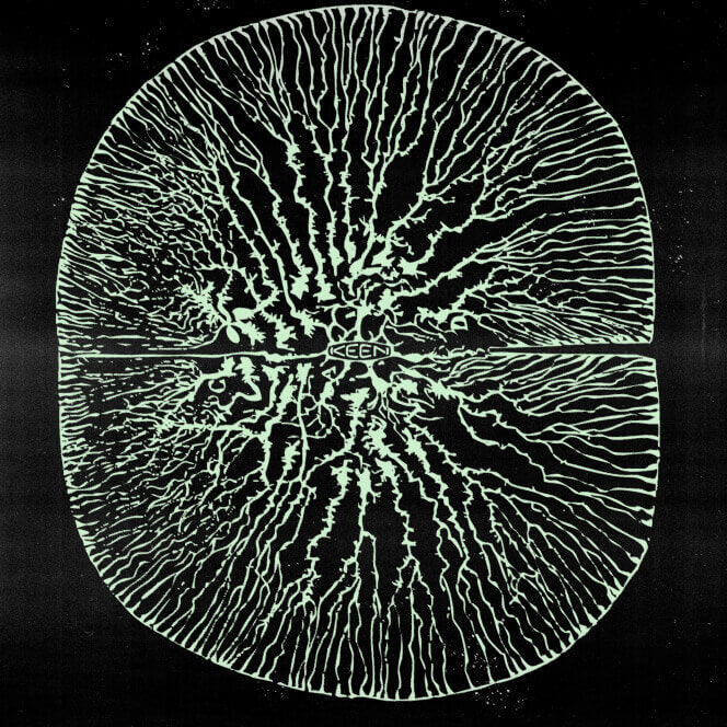 Cross section of plant with KEEN logo at the center and veins spreading from logo to the outer ring