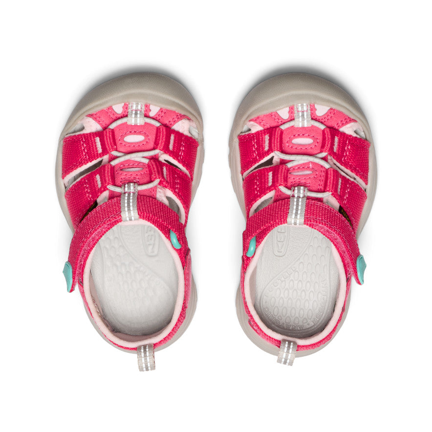 Toddlers' Newport H2 | Raspberry/Giggle Pink | KEEN Footwear